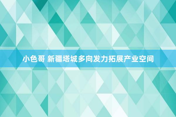 小色哥 新疆塔城多向发力拓展产业空间