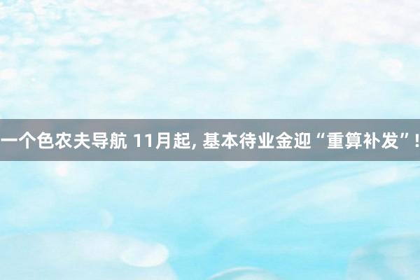 一个色农夫导航 11月起， 基本待业金迎“重算补发”!