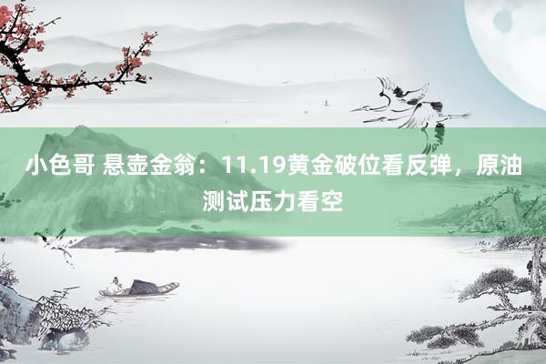 小色哥 悬壶金翁：11.19黄金破位看反弹，原油测试压力看空