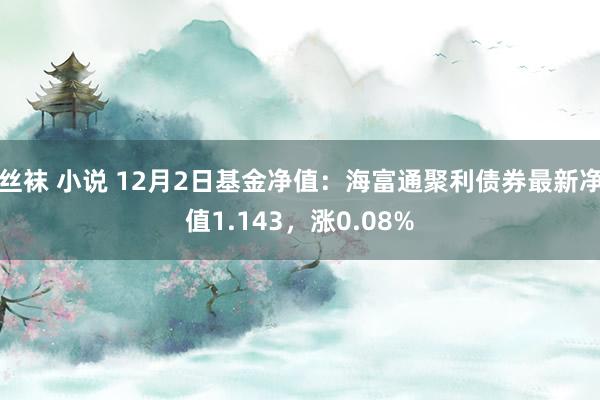 丝袜 小说 12月2日基金净值：海富通聚利债券最新净值1.143，涨0.08%
