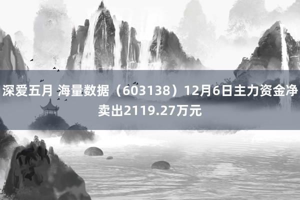 深爱五月 海量数据（603138）12月6日主力资金净卖出2119.27万元
