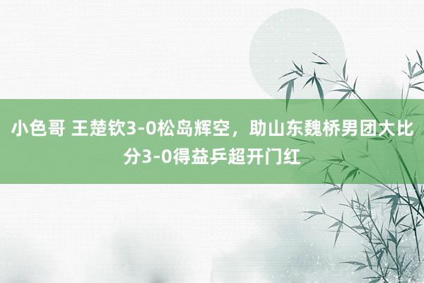 小色哥 王楚钦3-0松岛辉空，助山东魏桥男团大比分3-0得益乒超开门红