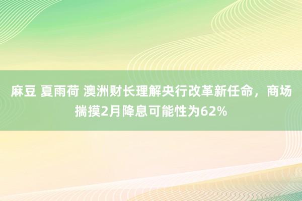 麻豆 夏雨荷 澳洲财长理解央行改革新任命，商场揣摸2月降息可能性为62%