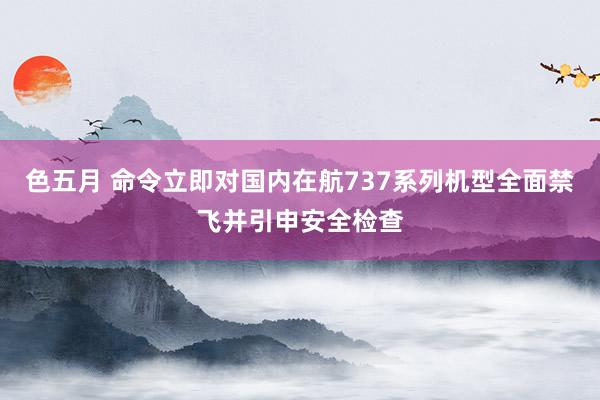 色五月 命令立即对国内在航737系列机型全面禁飞并引申安全检查