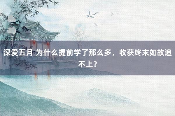 深爱五月 为什么提前学了那么多，收获终末如故追不上？
