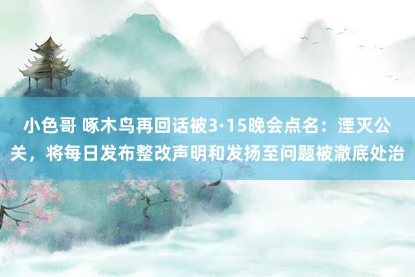 小色哥 啄木鸟再回话被3·15晚会点名：湮灭公关，将每日发布整改声明和发扬至问题被澈底处治