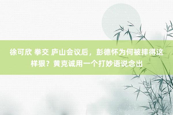 徐可欣 拳交 庐山会议后，彭德怀为何被摔得这样狠？黄克诚用一个打妙语说念出