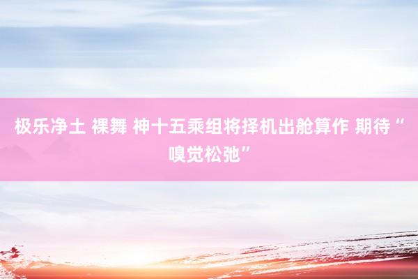 极乐净土 裸舞 神十五乘组将择机出舱算作 期待“嗅觉松弛”