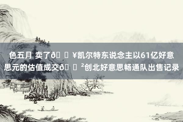 色五月 卖了💥凯尔特东说念主以61亿好意思元的估值成交😲创北好意思畅通队出售记录