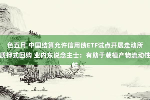 色五月 中国结算允许信用债ETF试点开展走动所质押式回购 业内东说念主士:有助于栽植产物流动性