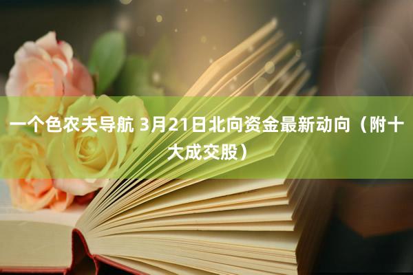 一个色农夫导航 3月21日北向资金最新动向（附十大成交股）