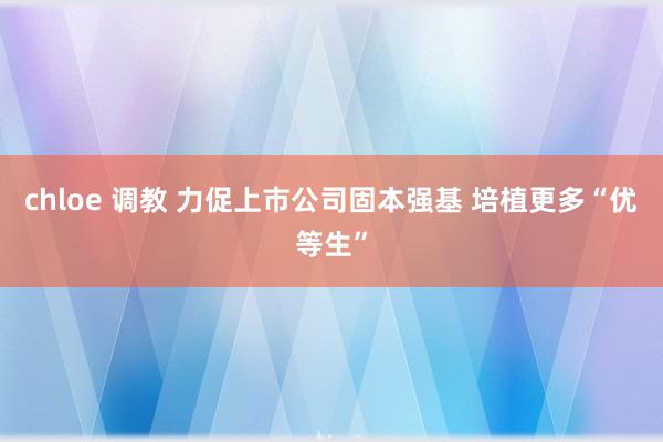 chloe 调教 力促上市公司固本强基 培植更多“优等生”