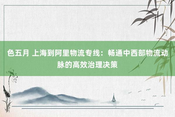 色五月 上海到阿里物流专线：畅通中西部物流动脉的高效治理决策