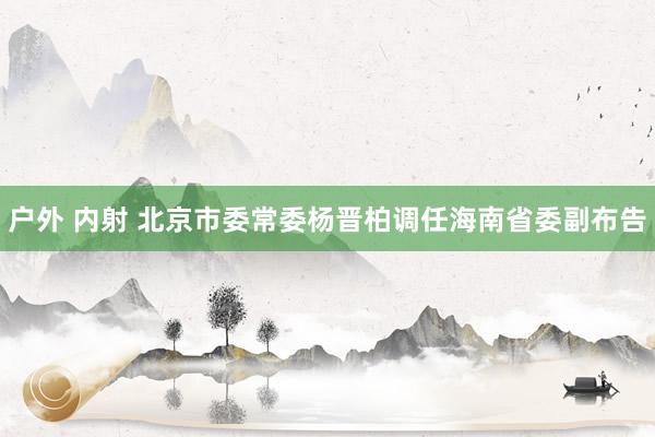 户外 内射 北京市委常委杨晋柏调任海南省委副布告
