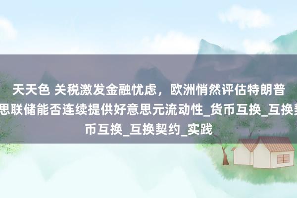 天天色 关税激发金融忧虑，欧洲悄然评估特朗普时期好意思联储能否连续提供好意思元流动性_货币互换_互换契约_实践