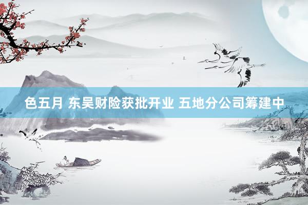 色五月 东吴财险获批开业 五地分公司筹建中