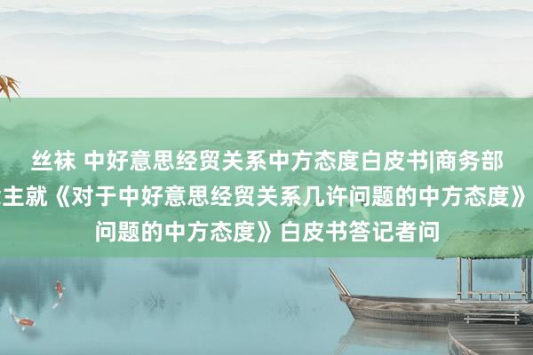 丝袜 中好意思经贸关系中方态度白皮书|商务部议论负责东说念主就《对于中好意思经贸关系几许问题的中方态度》白皮书答记者问