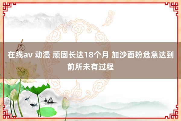 在线av 动漫 顽固长达18个月 加沙面粉危急达到前所未有过程