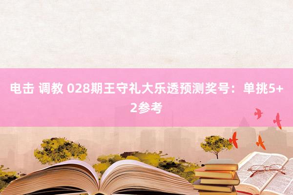电击 调教 028期王守礼大乐透预测奖号：单挑5+2参考